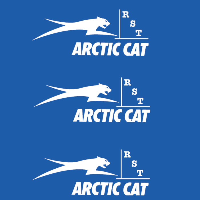 Rodamientos para Arctic cat